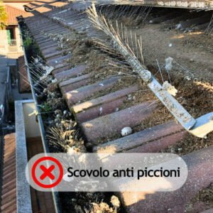 Barriera anti piccione – Vertical Works