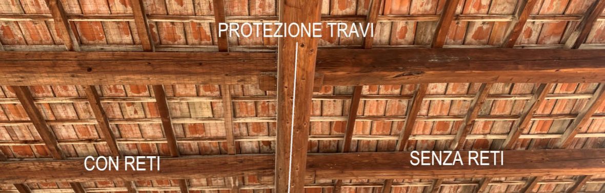 Rete Anti Uccelli Per Giardino – 5x5 M, Maglia 2,5 Cm, Proteggi Piante E Frutti Senza Danneggiare Gli Uccelli